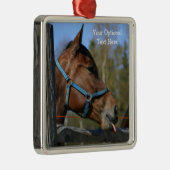 Aangepaste ornamenten voor Funny Horse (Rechts)