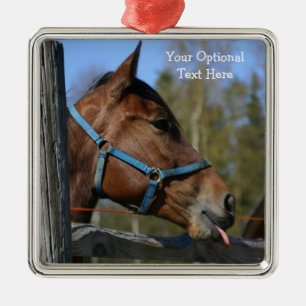 Aangepaste ornamenten voor Funny Horse