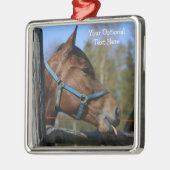 Aangepaste ornamenten voor Funny Horse (Links)