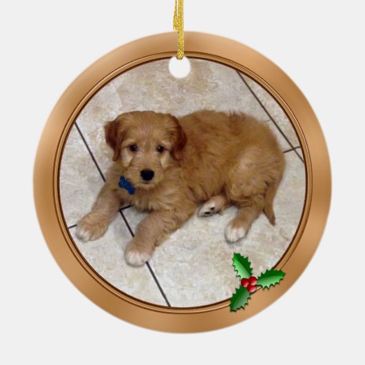 Aangepaste Ornamenten voor Pet 2 FOTO'S, 2 TEKST (Achterkant)