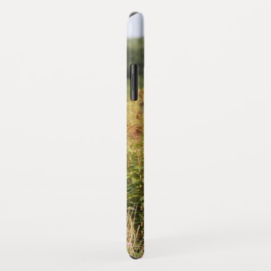 Aangepaste paardenfoto Case-Mate iPhone case (Achterkant/rechts)