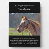 Aangepaste paardennaam en foto-Memorial Fotoplaat (voorkant)