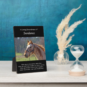 Aangepaste paardennaam en foto-Memorial Fotoplaat