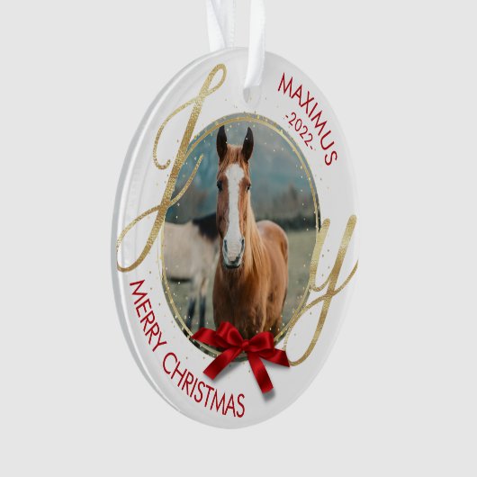 Aangepaste paardennaam Foto Equestrian Ornament (voorkant)