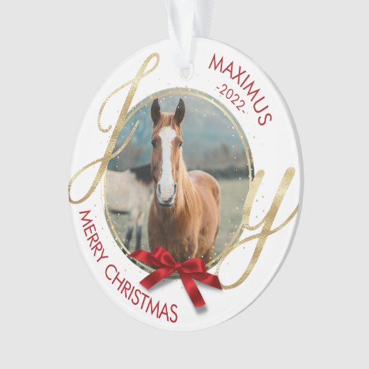 Aangepaste paardennaam Foto Equestrian Ornament (voorkant)