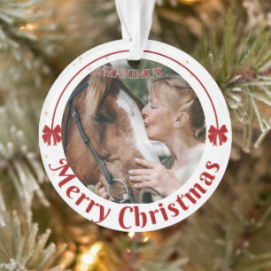 Aangepaste paardennaam foto equestrian ornament