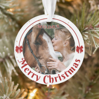 Aangepaste paardennaam foto equestrian ornament