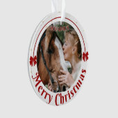 Aangepaste paardennaam foto equestrian ornament (voorkant)