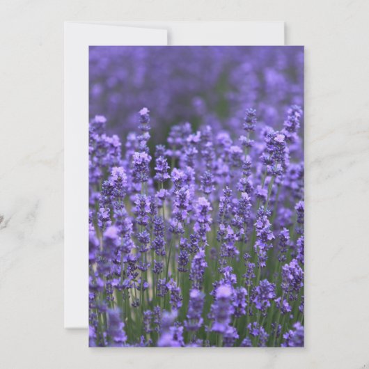 Aangepaste Paarse uitnodigingen voor weddenschappe (Achterkant)