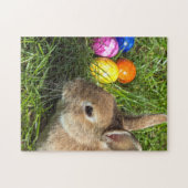 Aangepaste paaspuzzle 11 x 14 inch, 252 artikelen legpuzzel (Horizontaal)