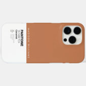 Aangepaste Pantone Persoonlijke Naam Kleurblok Case-Mate iPhone Case (Achterkant (horizontaal))