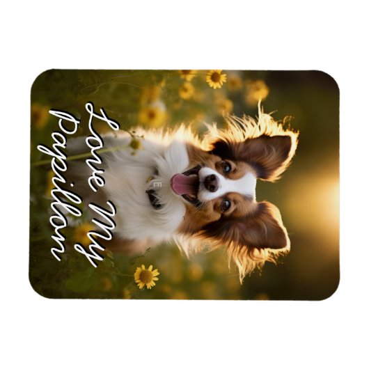 Aangepaste papillon koelkast magneet (Horizontaal)