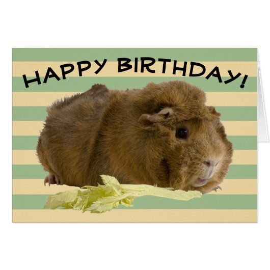 Aangepaste Pastel Strepen Schattige Cavia Foto (Voorkant Horizontaal)