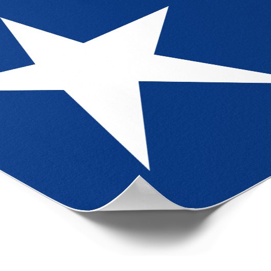 Aangepaste Patriottisch Poster (Hoek)