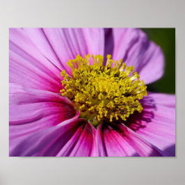 aangepaste personaliseer Jubilea Destiny's Destiny Poster