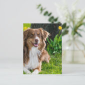 Aangepaste persoonlijke foto briefkaart (Staand voorkant)