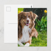 Aangepaste persoonlijke foto briefkaart (Voorkant / Achterkant)