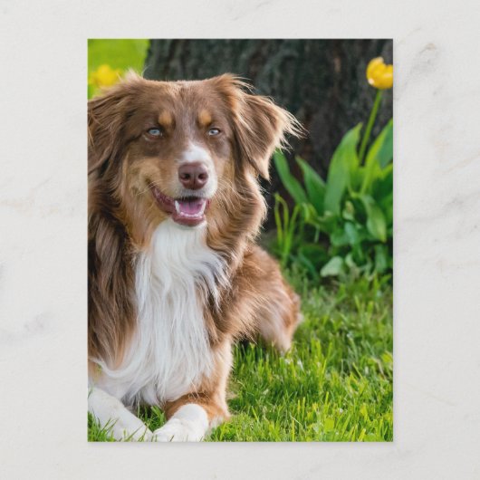 Aangepaste persoonlijke foto briefkaart (Voorkant)