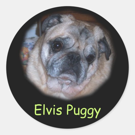 Aangepaste persoonlijke foto-stickers ronde sticker (Voorkant)