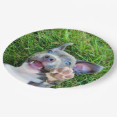 Aangepaste persoonlijke foto-uppy Dog Birthday Par Papieren Bordje (Gekanteld)