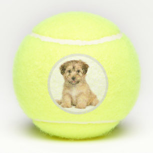 Aangepaste persoonlijke foto van Dog Tennisballen