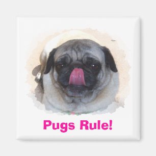 Aangepaste persoonlijke fotomagneetjes magneet