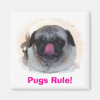 Aangepaste persoonlijke fotomagneten magneet