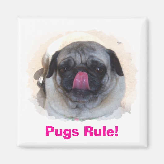 Aangepaste persoonlijke fotomagneten magneet (Voorkant)