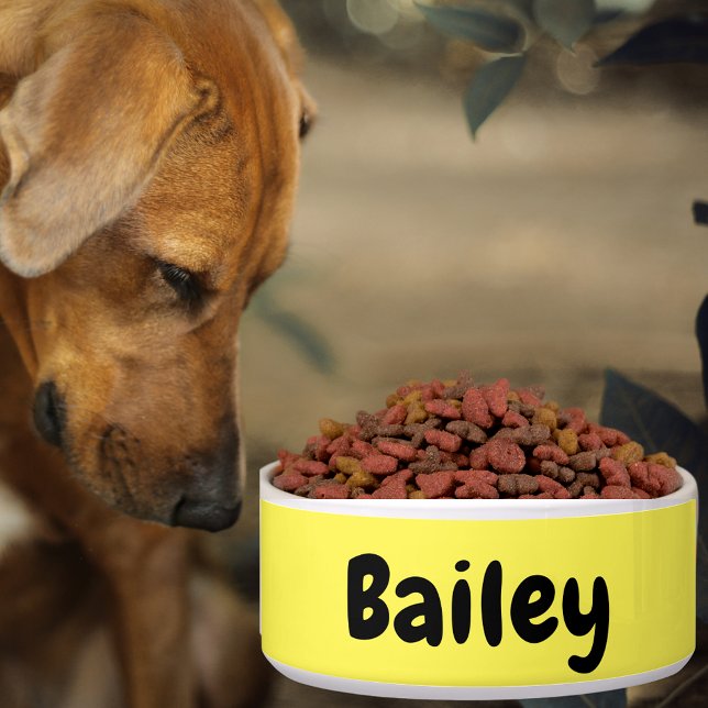 Aangepaste persoonlijke naam Foto Art Color Pet Gr Voerbakje (Custom Personalized Name Photo Art Color Pet Large Bowl)