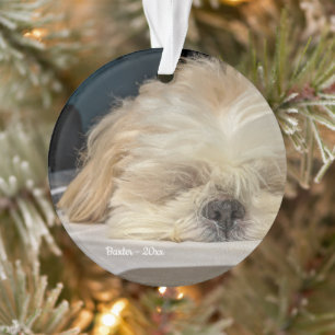 Aangepaste Pet Dog Puppy Ornament