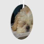 Aangepaste Pet Dog Puppy Ornament (voorkant)