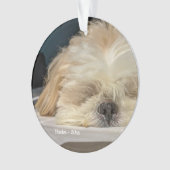 Aangepaste Pet Dog Puppy Ornament (voorkant)