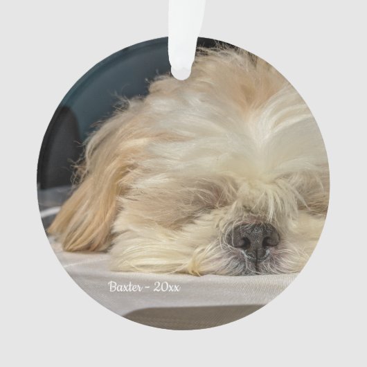 Aangepaste Pet Dog Puppy Ornament (voorkant)