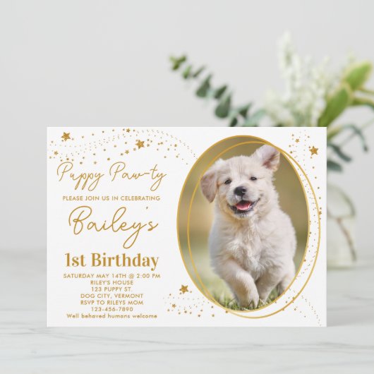 Aangepaste Pet Foto Gold Stars Puppy Dog Birthday Kaart (Staand voorkant)