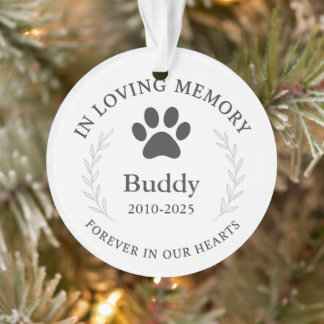 Aangepaste Pet Memorial Ornament Keepsake