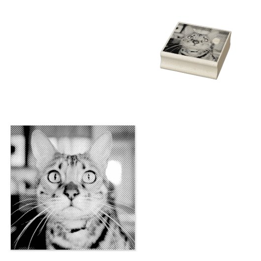 Aangepaste Pet Photo Rubber Stamp Rubberstempel (Gestempeld)