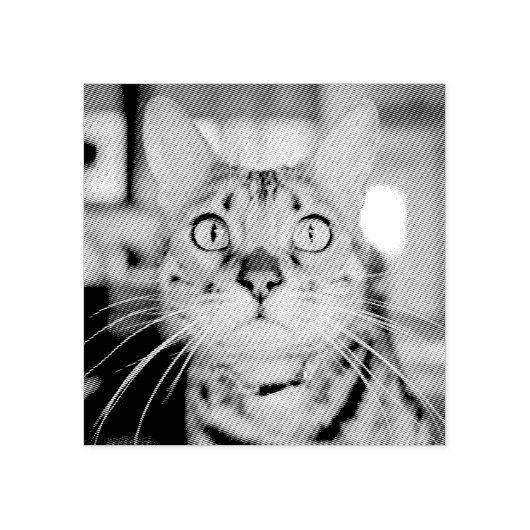 Aangepaste Pet Photo Rubber Stamp Rubberstempel (Afrduk)