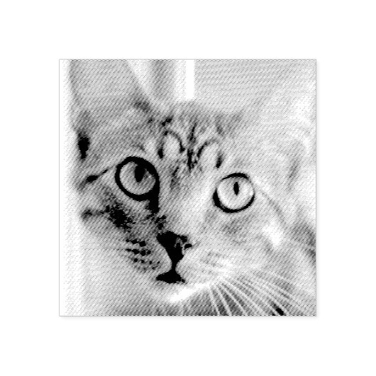 Aangepaste Pet Photo Rubber Stamp Rubberstempel (Afrduk)