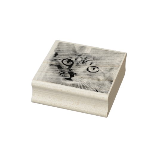 Aangepaste Pet Photo Rubber Stamp Rubberstempel (Stempel)