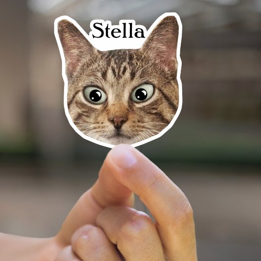 Aangepaste Pet Sticker Gepersonaliseerde Kat Gezic