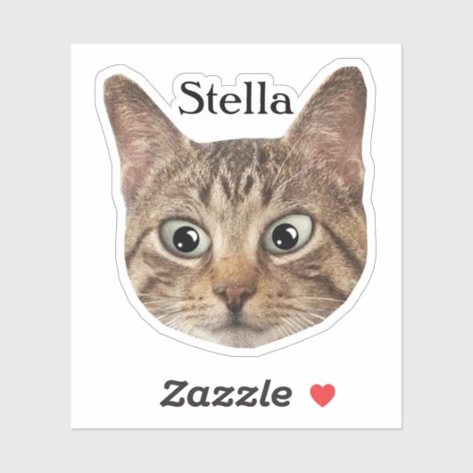 Aangepaste Pet Sticker Gepersonaliseerde Kat Gezic (Vel)