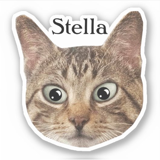 Aangepaste Pet Sticker Gepersonaliseerde Kat Gezic (Voorkant)