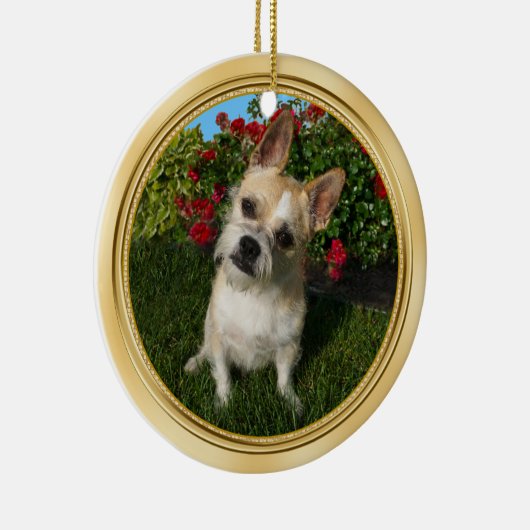 Aangepaste Pet-versiering met uw 2-Pet-FOTO's Keramisch Ornament (Rechts)