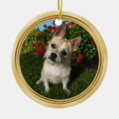Aangepaste Pet-versiering met uw 2-Pet-FOTO's Keramisch Ornament (Voorkant)