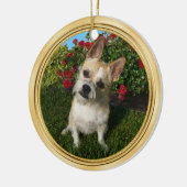 Aangepaste Pet-versiering met uw 2-Pet-FOTO's Keramisch Ornament (Links)