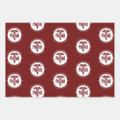 Aangepaste PharmD Doctor in de Afstuderen van de F Inpakpapier Vel (Voorkant 2)