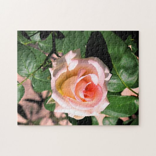 AANGEPASTE PINKROSE OP WIJNPUZZLE LEGPUZZEL (Horizontaal)