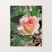 AANGEPASTE PINKROSE OP WIJNPUZZLE LEGPUZZEL (Verticaal)