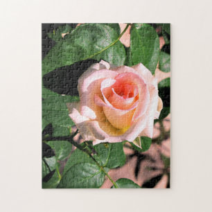 AANGEPASTE PINKROSE OP WIJNPUZZLE LEGPUZZEL
