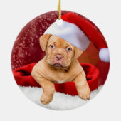 Aangepaste Pitbull Puppie Hond Foto Keramisch Ornament (Achterkant)